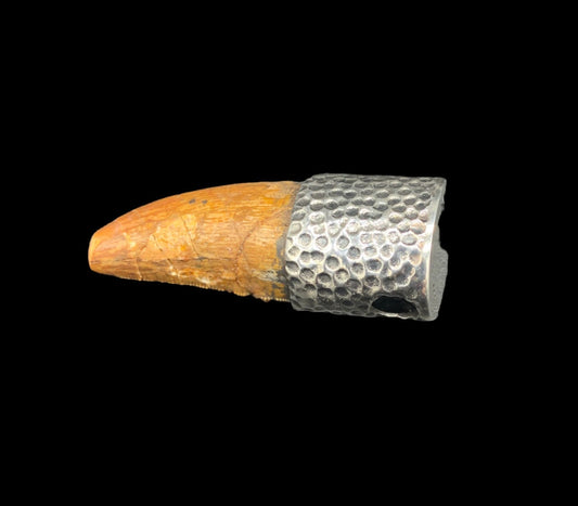 Carcharodontosaurus Tooth Pendant | 1.5" | Sterling Silver | 100% Authentic