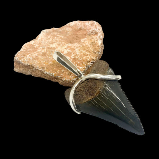 Fossilized megalodon shark tooth in a silver pendant on a rock against a black background