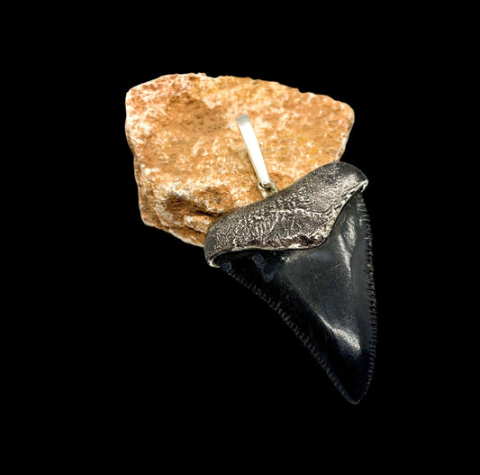 Oxidized silver medium Megalodon tooth pendent