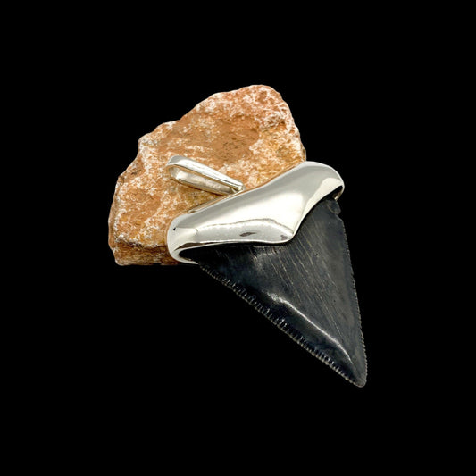 Megalodon tooth pendant on a rock against a black background