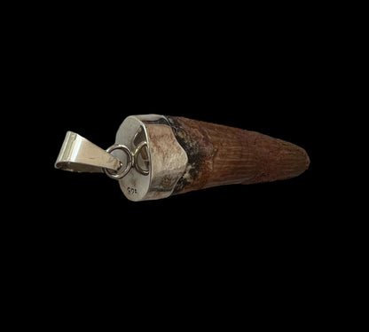 Spinosaurus Tooth Pendant | Sterling Silver | 100% Authentic