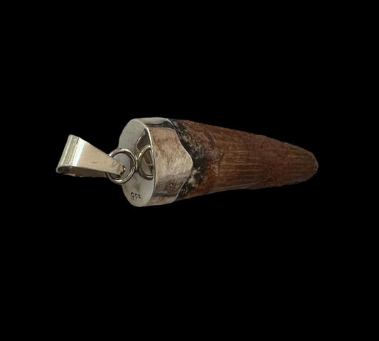 Spinosaurus Tooth Pendant | Sterling Silver | 100% Authentic