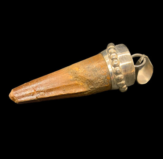 Spinosaurus Tooth Pendant | 2 1/4” | Sterling Silver | 100% Authentic
