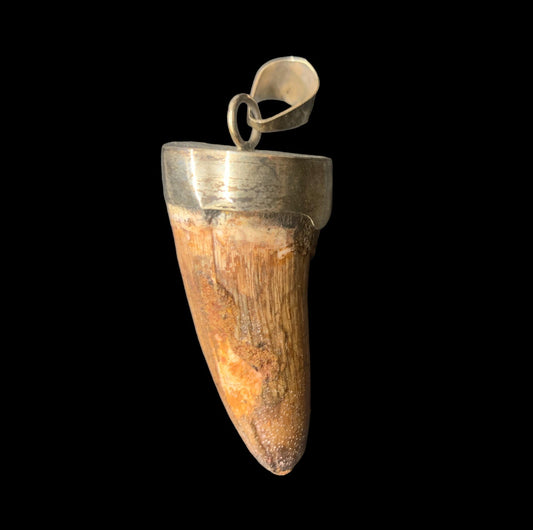 Spinosaurus Tooth Pendant | 2" | Sterling Silver | 100% Authentic