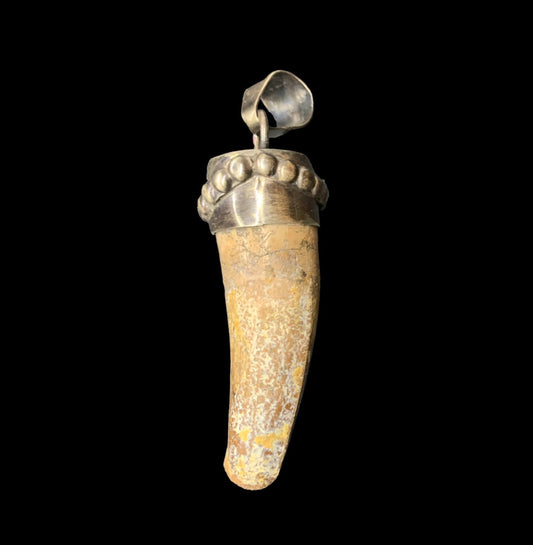 Spinosaurus Tooth Pendant | 2" | Sterling Silver | 100% Authentic