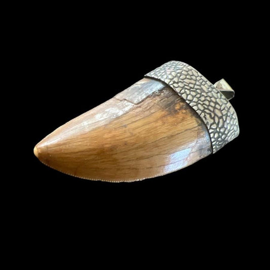 1.5” Carcharodontosaurus Tooth Pendant | Sterling Silver