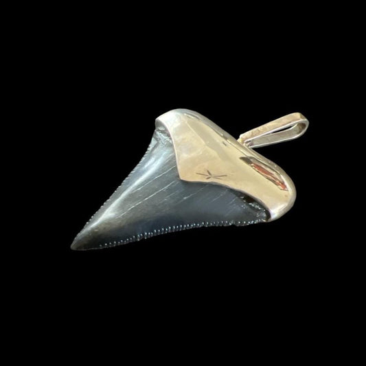 Megalodon tooth pendant with silver setting on a black background