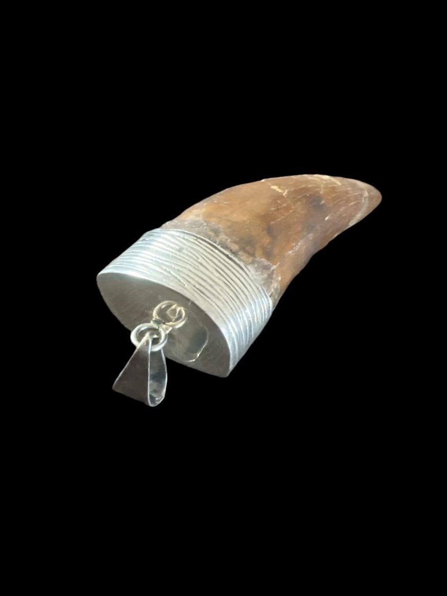 2” Carcharodontosaurus Tooth Pendant | Sterling Silver