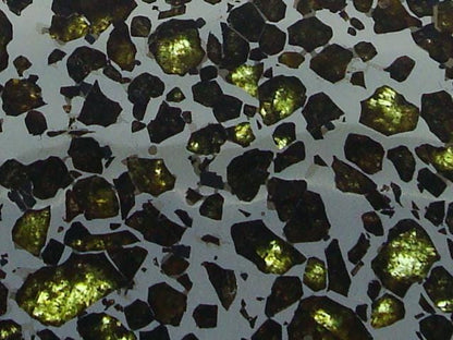 Brahin Pallasite Slice 563 grams