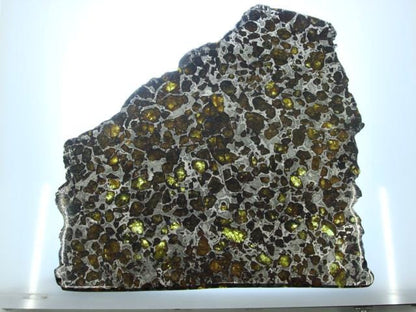Brahin Pallasite Slice 563 grams