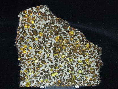 Brahin Pallasite Slice 563 grams