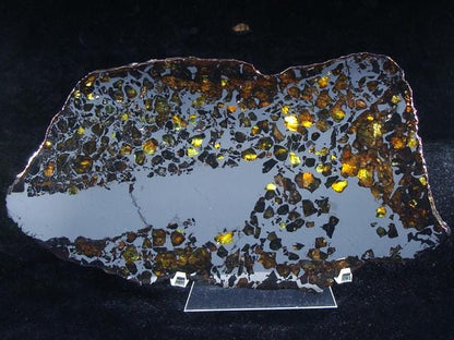 Seymchan Pallasite Slice 464g