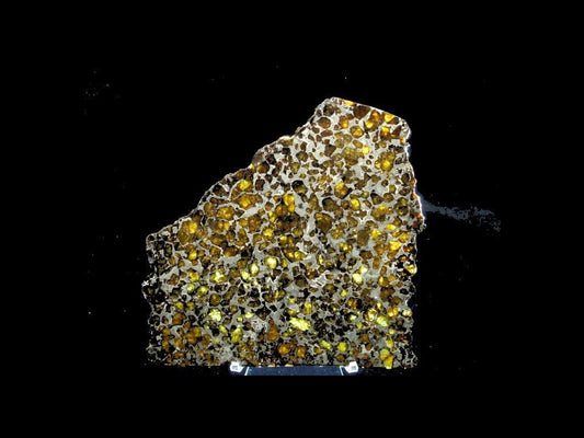 Brahin Pallasite Slice 563 grams