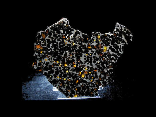 Sericho Pallasite Slice 236g