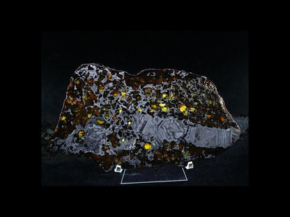 Seymchan Pallasite Slice 464g