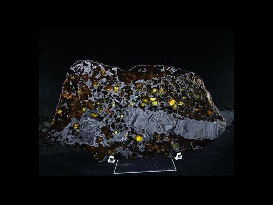 Seymchan Pallasite Slice 464g