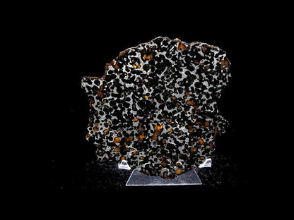Sericho Pallasite Slice 395g