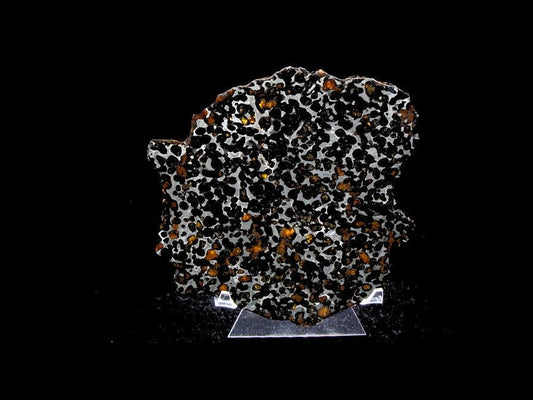 Sericho Pallasite Slice 395g