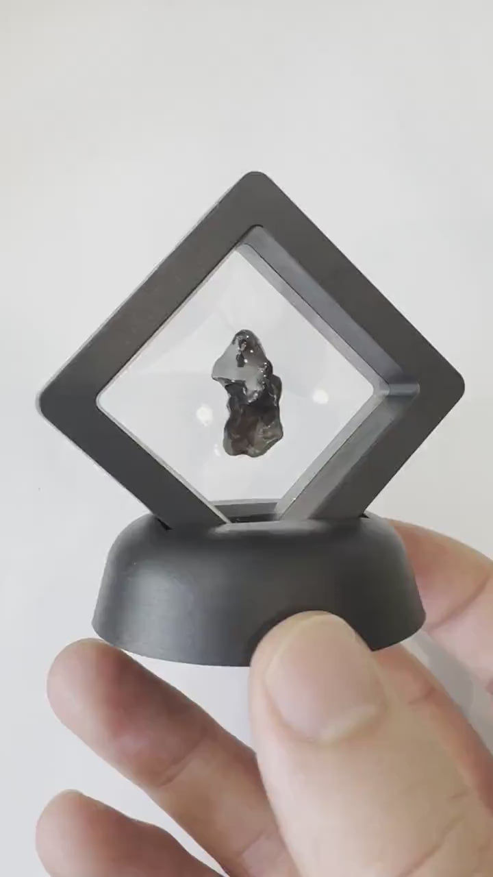 Agoudal Meteorite in Display Stand