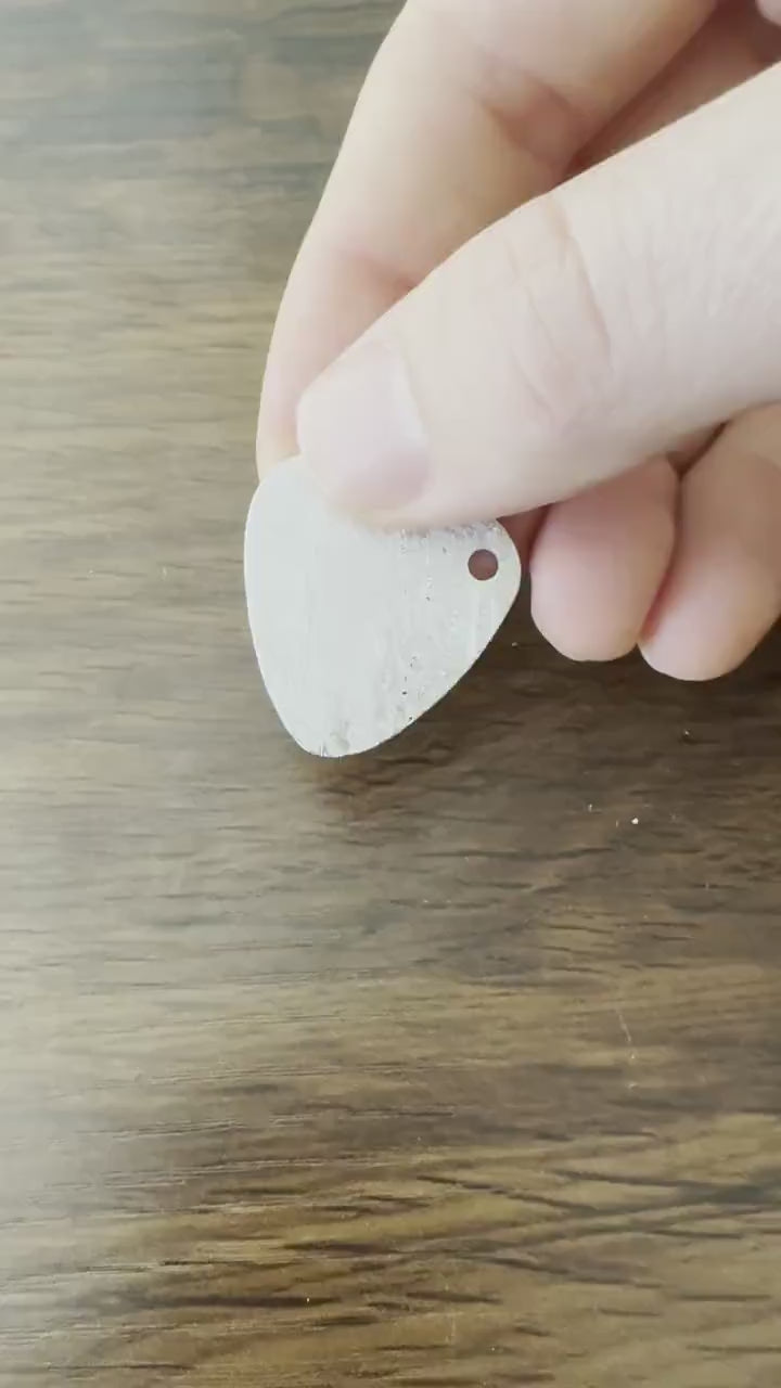 Meteorite Guitar Pick