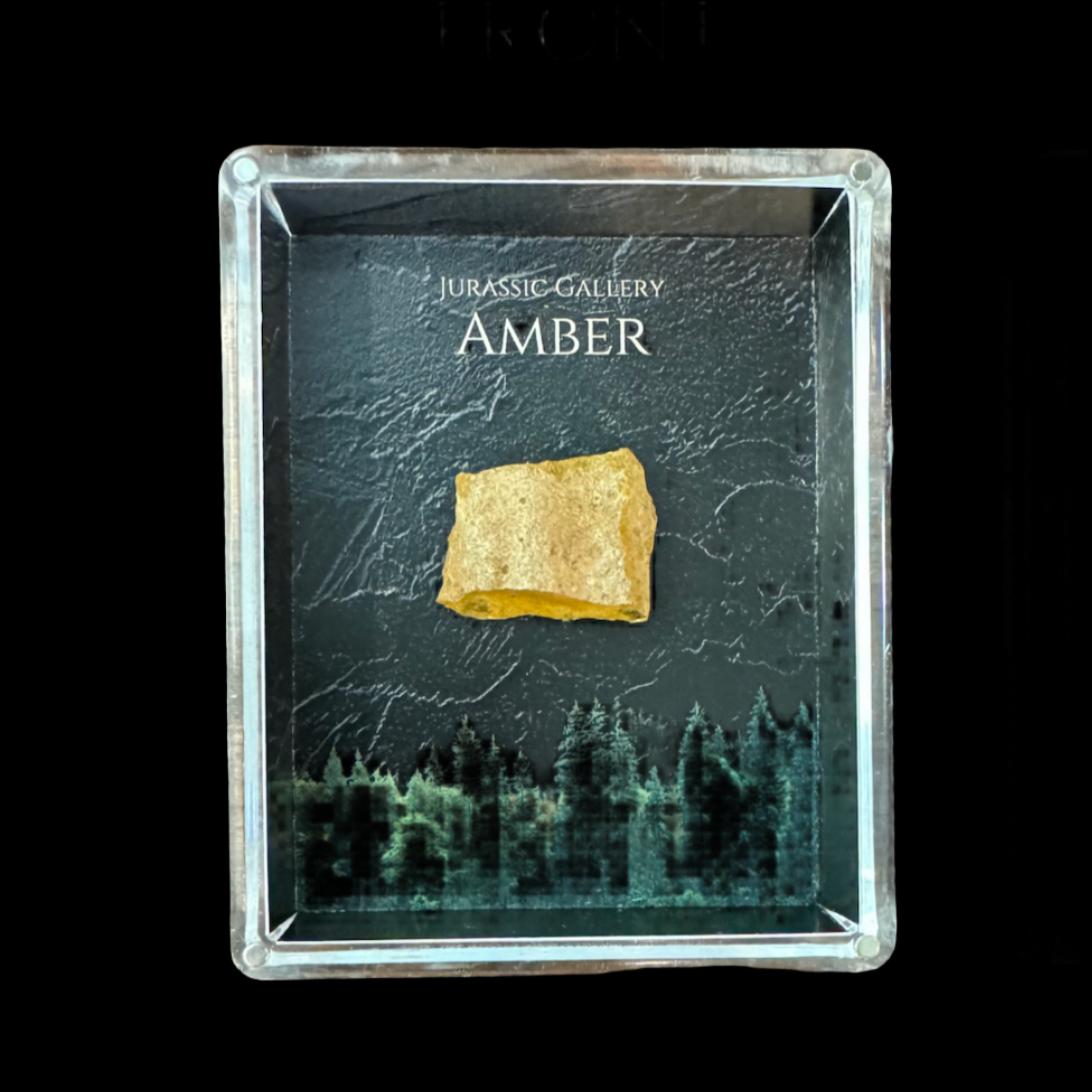 Amber Gift Box