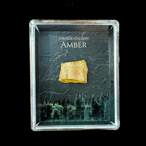 Amber Gift Box