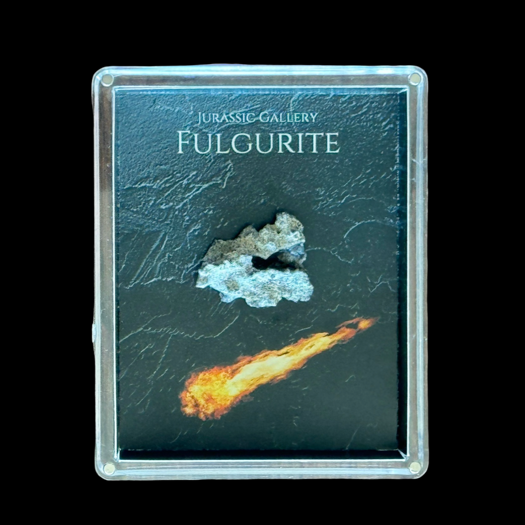 Fulgurite Gift Box