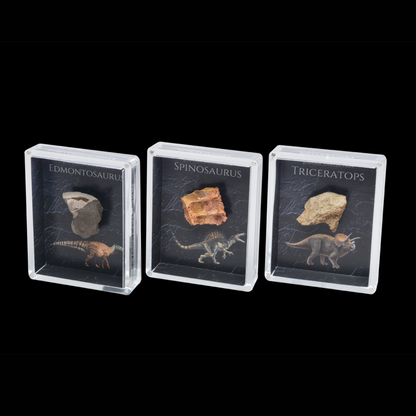 Cretaceous Period Dinosaur Gift Box Bundle