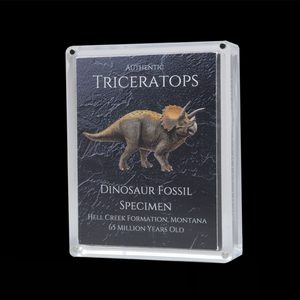 Cretaceous Period Dinosaur Gift Box Bundle