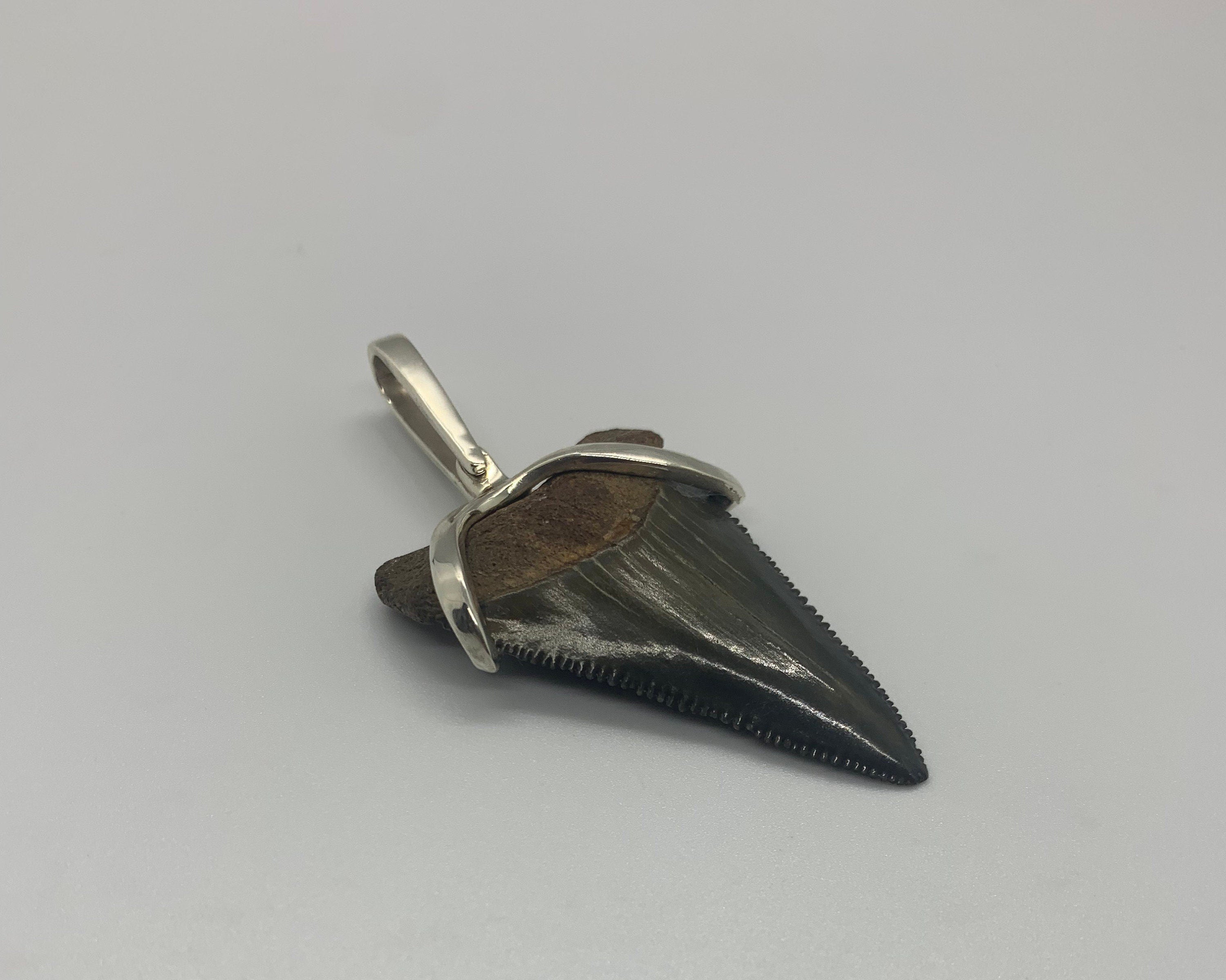Megalodon tooth sterling silver Small