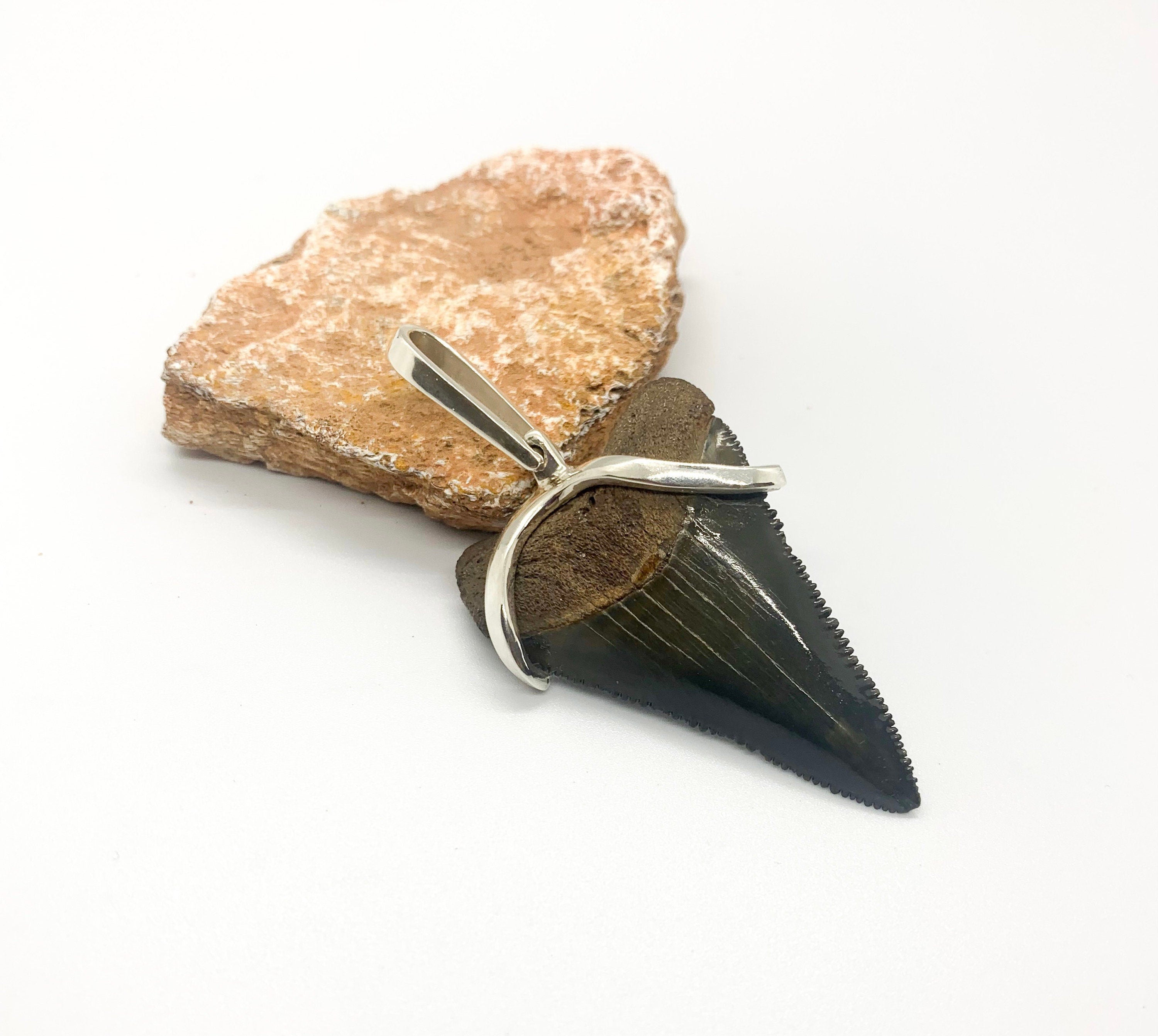 Megalodon tooth sterling silver Small