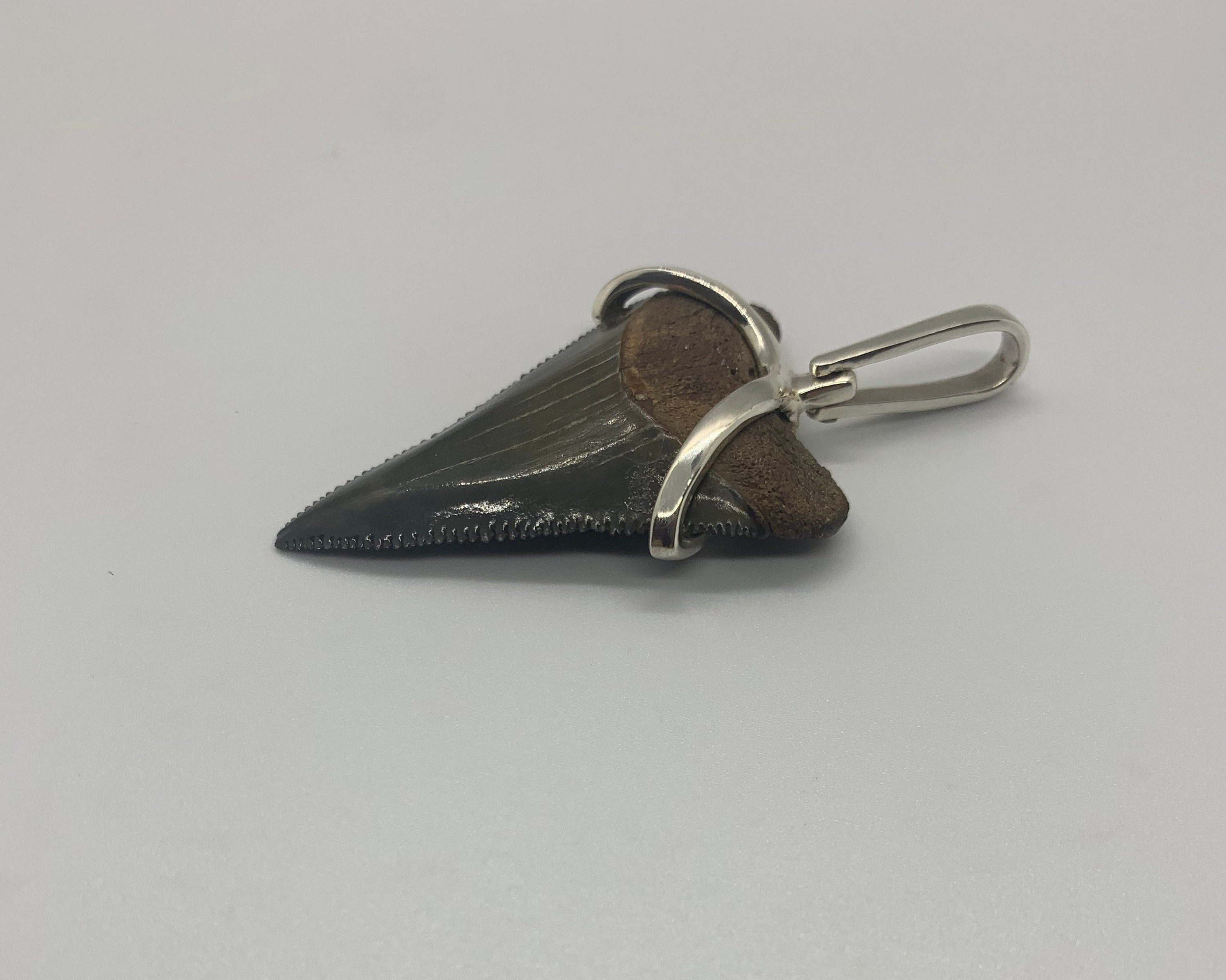 Megalodon tooth sterling silver Small