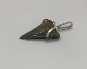 Megalodon tooth sterling silver Small