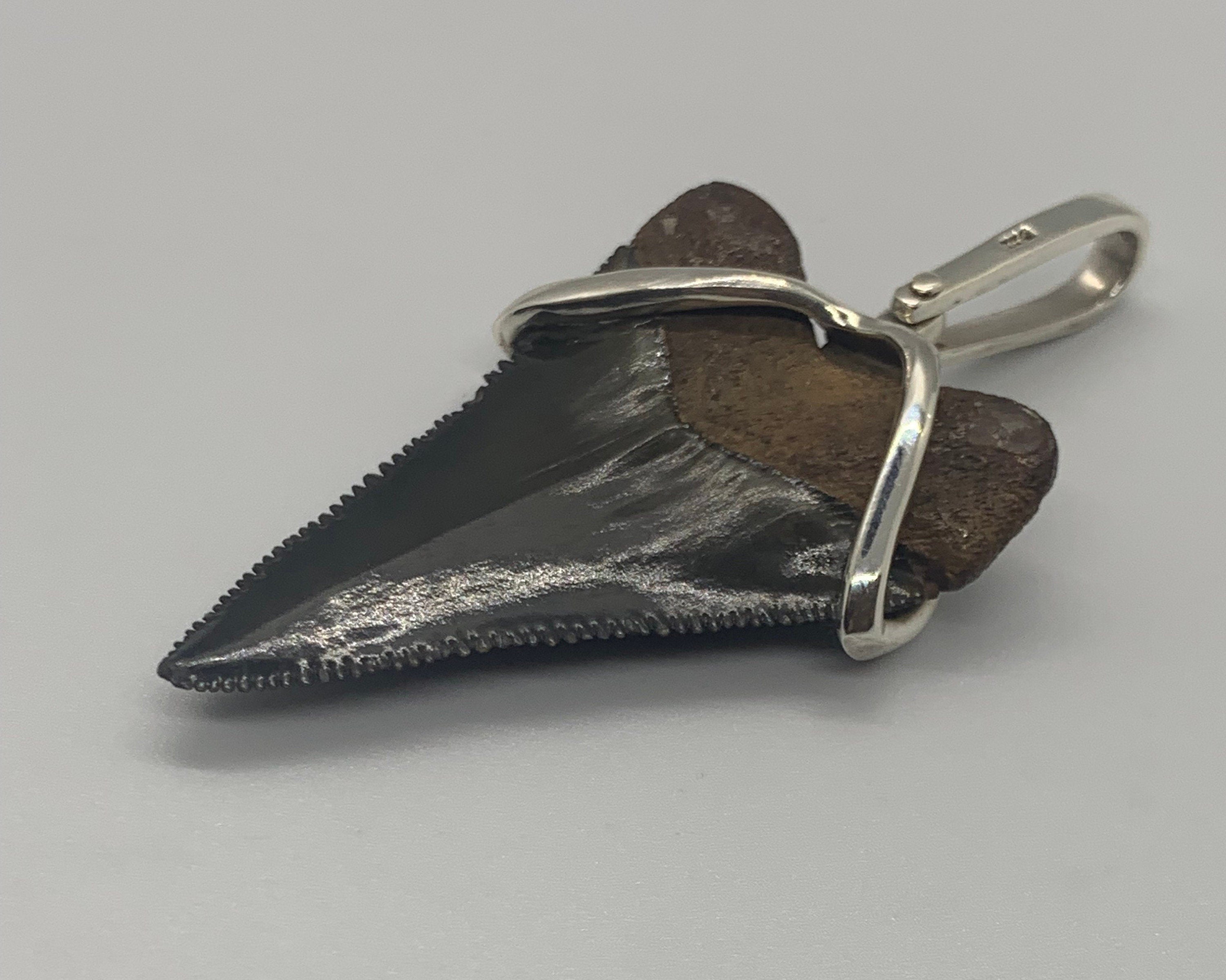 Megalodon tooth sterling silver Small