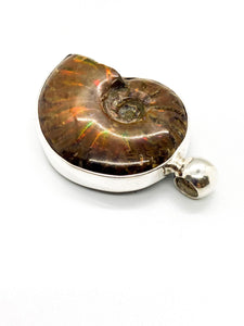 Ammonite pendant in sterling chrome silver