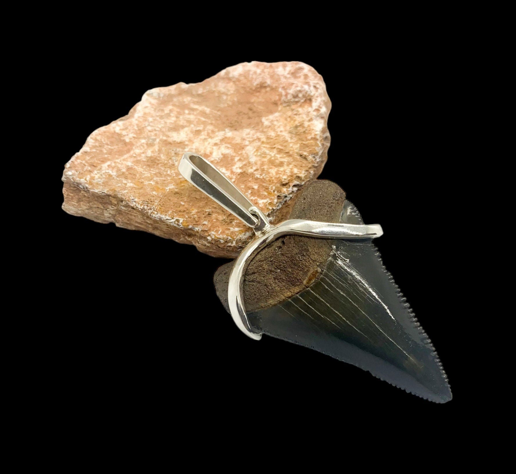 Megalodon tooth sterling silver Small